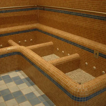 Отель Terme Vena D'oro